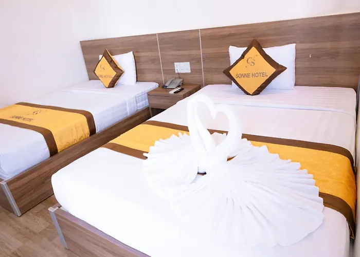 Dong Hoi Hotels