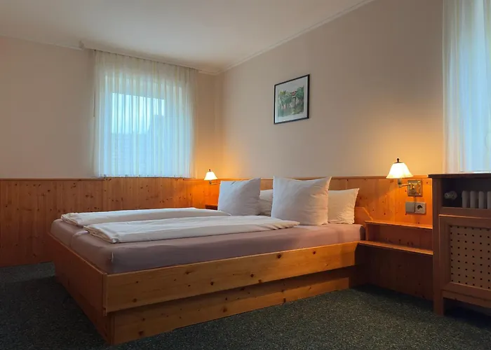 Hotel Rebstock Rust