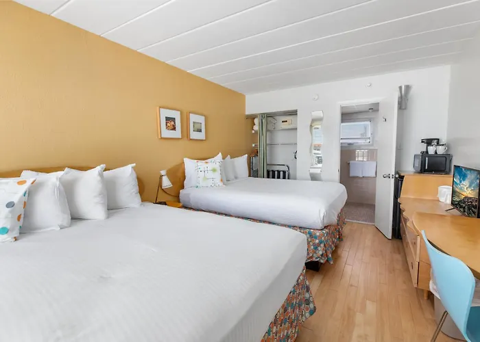 The Starlux Hotel Wildwood