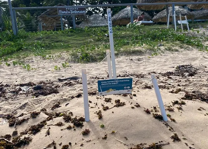 Pousada Farol Das Tartarugas Praia do Forte