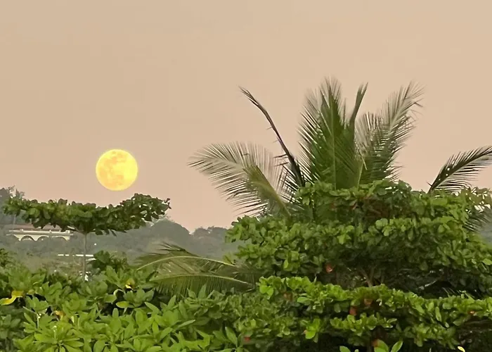 Hotéis em Nosara