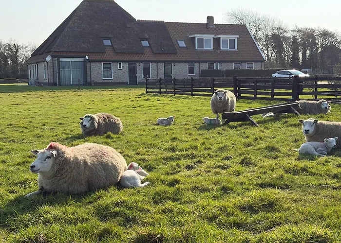 't lant van Texsel De Koog 