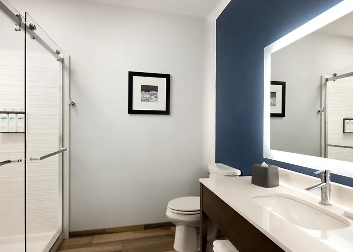 Hyatt Select St Louis Airport