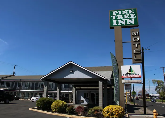 Pine Tree Inn