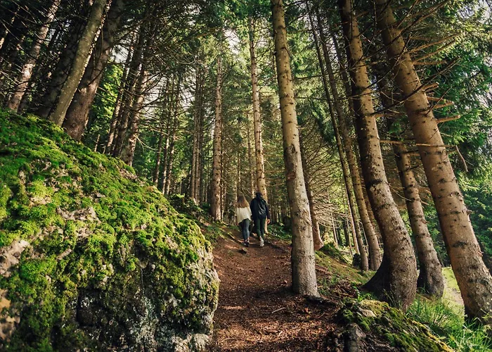 Hotel Torghele'S Wald & Fluh Balderschwang