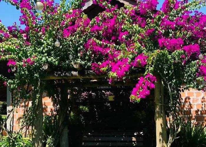 Hotéis de Colonia Murici