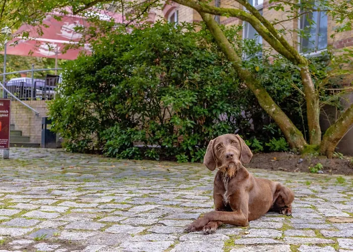 Hotel Schlösschen Sundische Wiese Ostseeheilbad Zingst