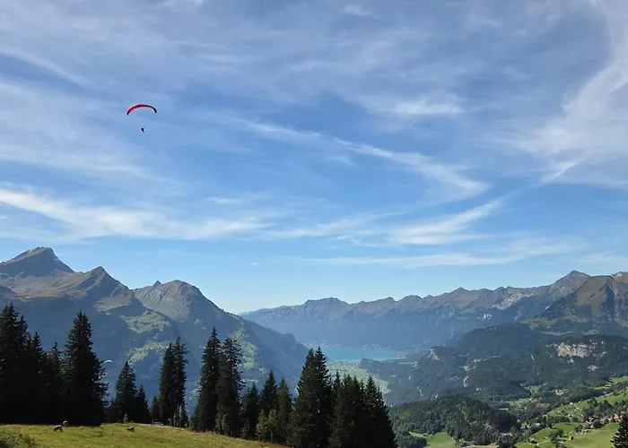 Hôtels à Meiringen