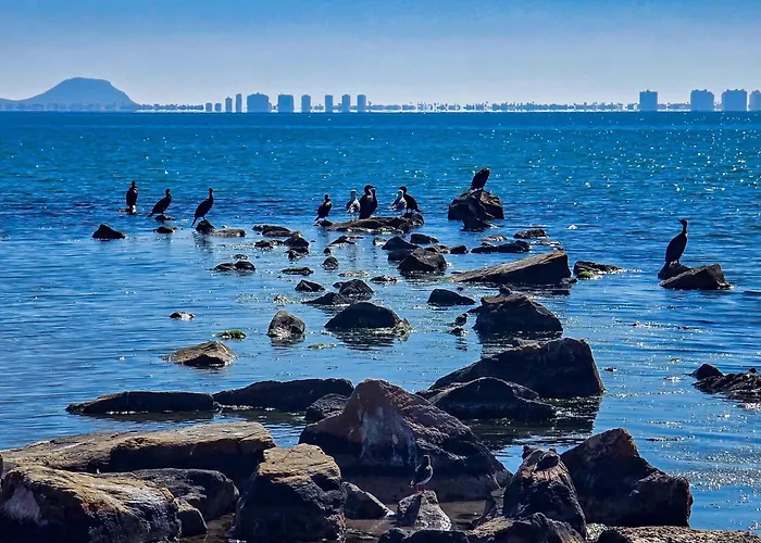 Hoteles en San Pedro del Pinatar