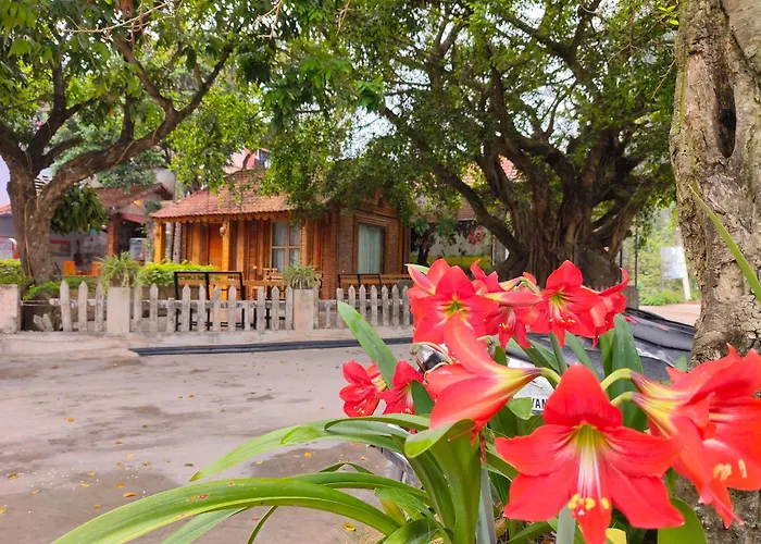 Hotels in NINH BINH