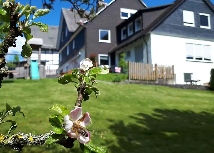 Ferienwohnung&Gästezimmer Schrichten Schmallenberg