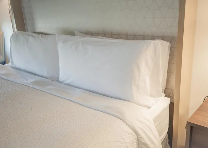 Holiday Inn & Suites Oakland - Airport By Ihg