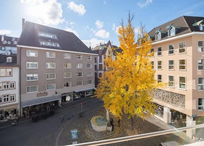 Apartmenthaus zum Trillen Basel City Center