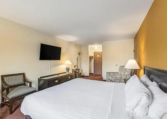 Econo Lodge Whitehall Near Michigan'S Adventure