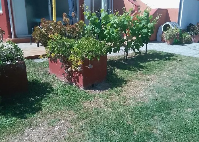 Hotel Rustichello Marina di Campo