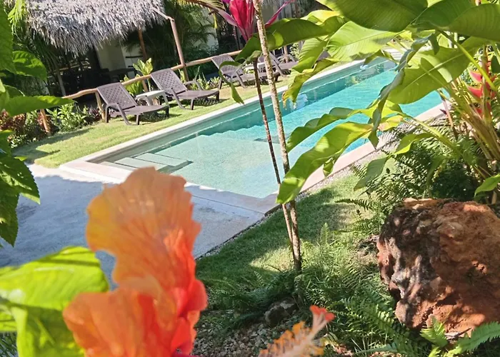 Hotéis de Las Galeras
