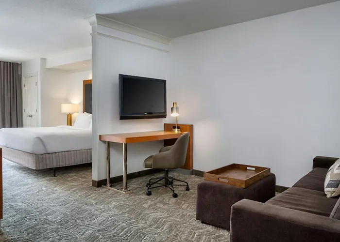Springhill Suites By Marriott Charleston North North Charleston