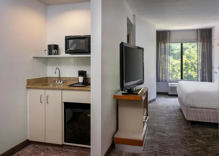 Springhill Suites By Marriott Charleston North