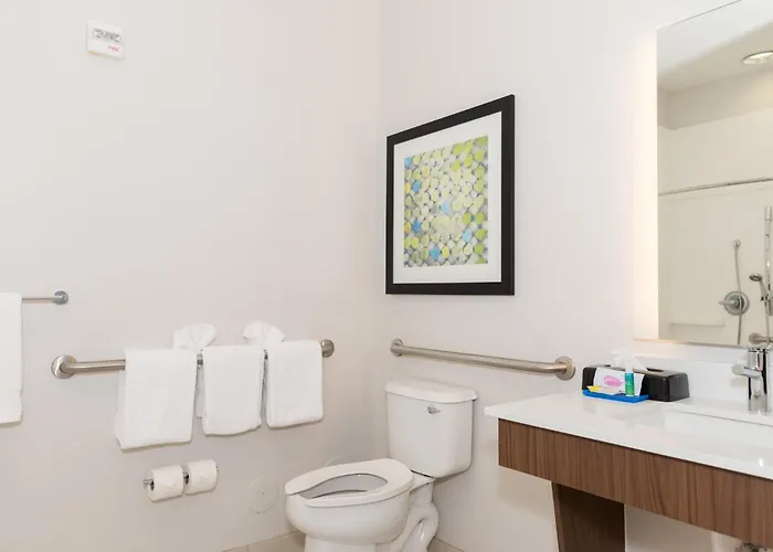 Holiday Inn Express Hotel & Suites Tampa-Usf-Busch Gardens By Ihg