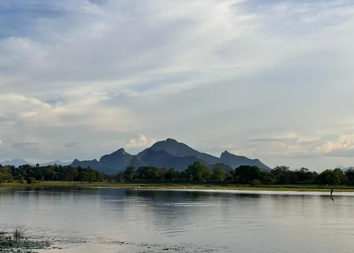 Hotels in Sigiriya