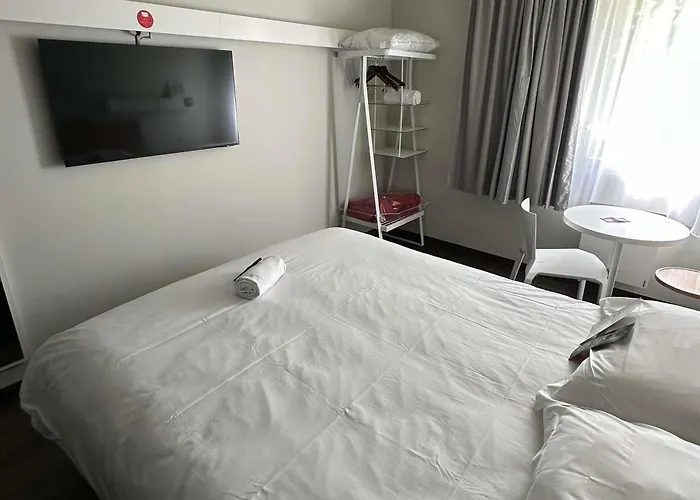 Ibis Abbeville