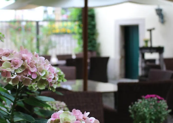 Hotels in Kallstadt