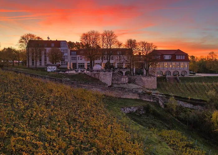 Weinberghotel Edelacker Freyburg 
