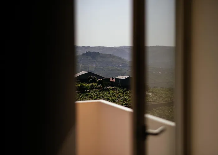 Casas Da Quinta De Santa Cruz - Douro Land Hotel Peso da Régua