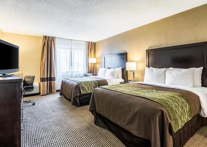 Comfort Inn Detroit Downtown