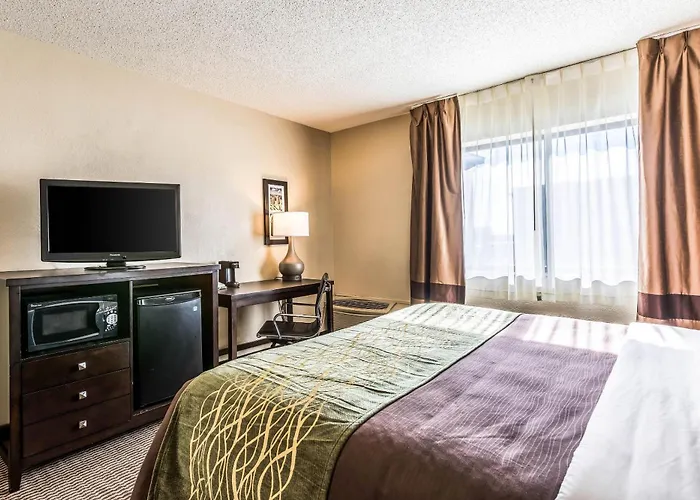Comfort Inn Detroit Downtown