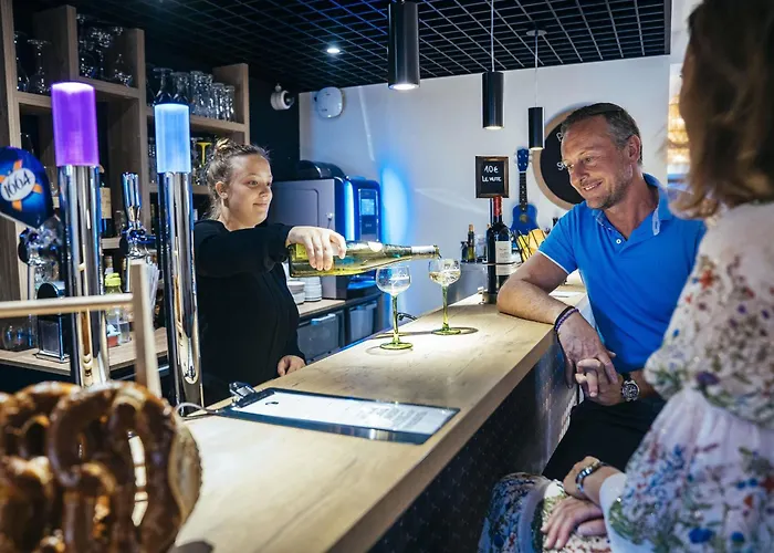Hotel ibis Haguenau Strasbourg Nord