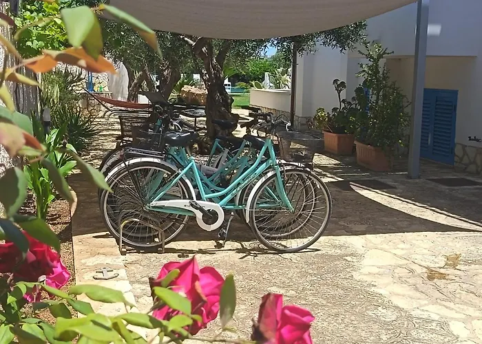 Signorino Resort