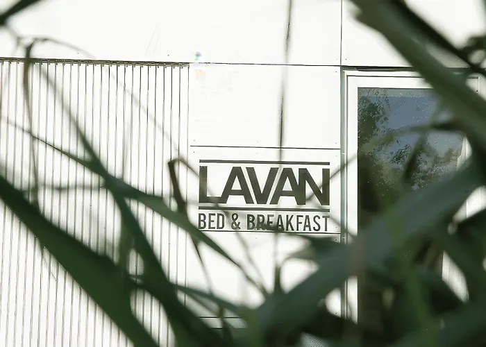 Lavan Leuven
