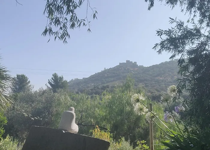 Monte Do Laranjal