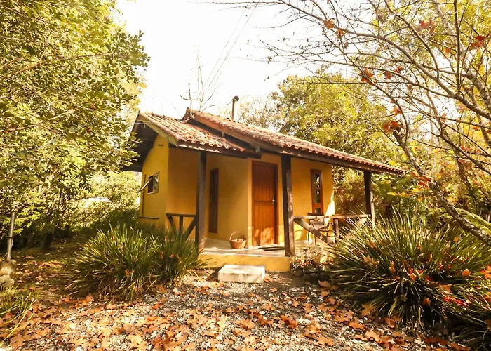 Cafe E Cabanas Lenha No Fogo Urubici