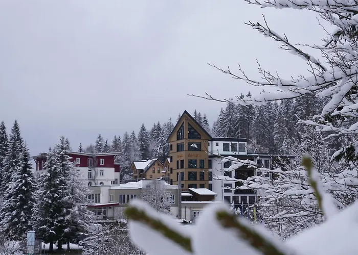 Das Waldhotel - Genuss&Wellness am Notschreipass