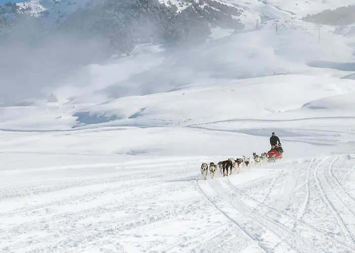 Hotel Ac Baqueira Ski Resort, Autograph Collection