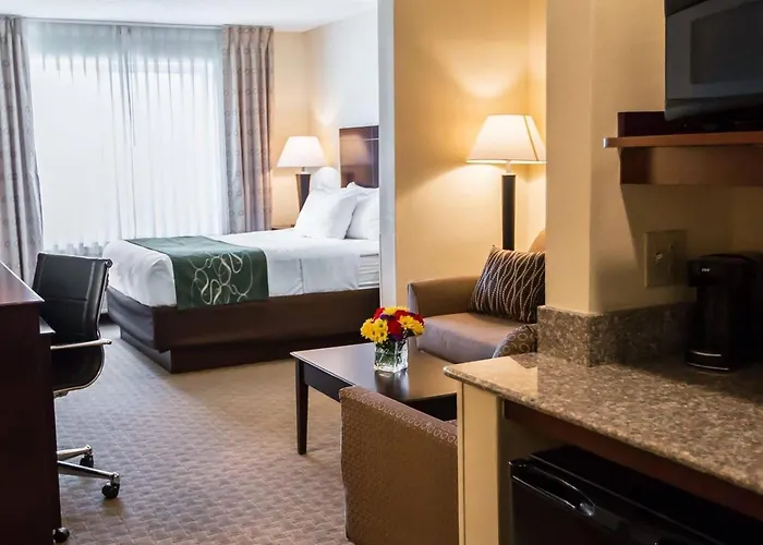 Comfort Suites University Area Notre Dame-South Bend