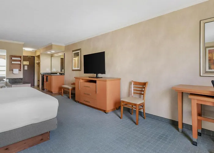 Davison Hotels