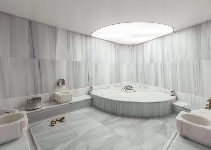 Point Hotel Taksim Istanboel