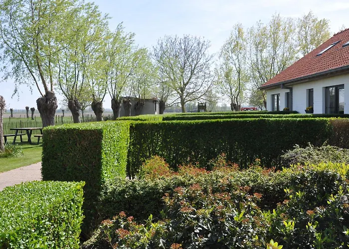 B&B Knotwilgenhoeve