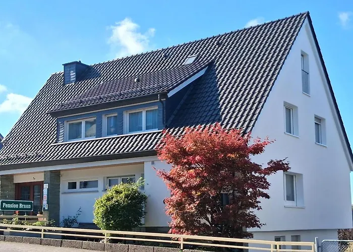 Pension Braun