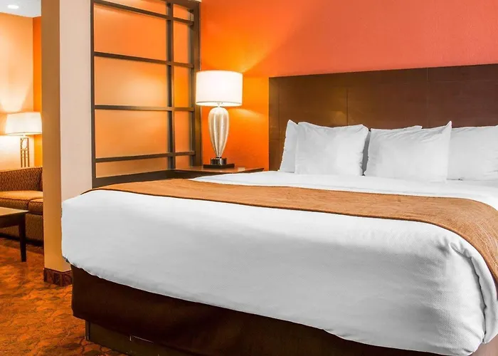 Comfort Inn & Suites And Conference Center Mount Pleasant