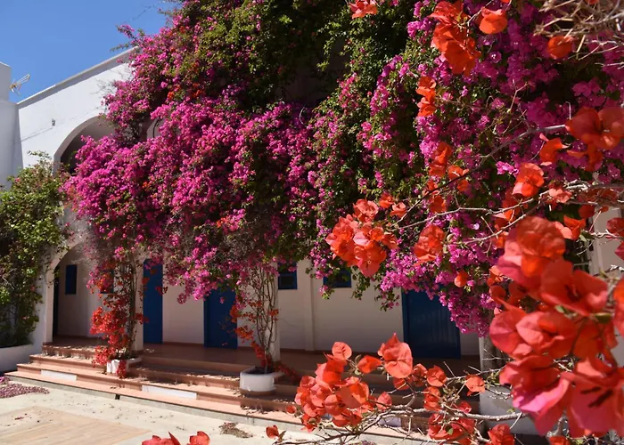 Hotels in Livadia (Tilos)