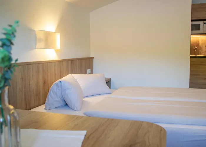 Holzmannhof Aparthotel Flachau