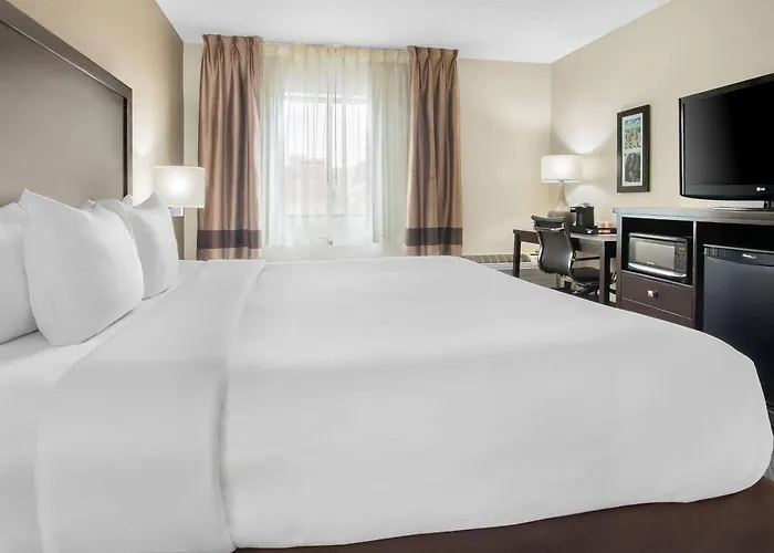 Comfort Inn Detroit Downtown