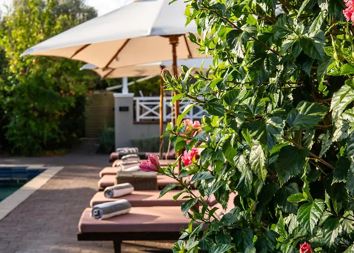 Boetiekhotels in Franschhoek