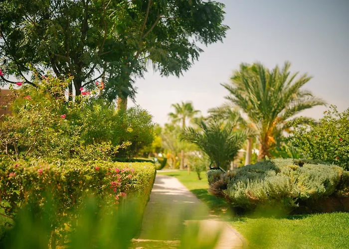 Be Live Collection Marrakech Adults Only All Inclusive Marrakesh