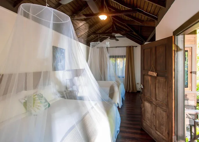 Serendipity Holistic Resort Spa