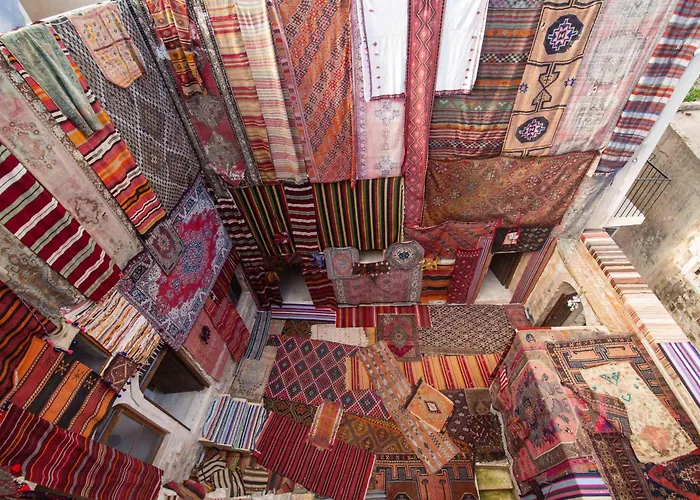 Rocinante House